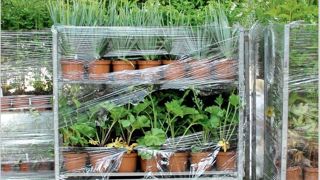 De bonnes pratiques logistiques ont été identifiées comme « prioritaires et stratégiques pour garantir la compétitivité de la filière horticole ornementale », d’où la réalisation d’un guide pratique spécifique. ©Val’hor